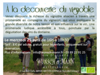 A LA DECOUVERTE DU VIGNOBLE