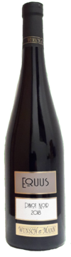 Pinot Noir - EQUUS - EPUISE